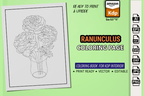Buttercup, Ranunculus Coloring Page Kdp: Graphics and Coloring Pages Amp