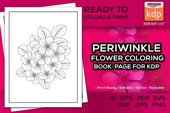 Periwinkle Flower Coloring Page for Kdp
