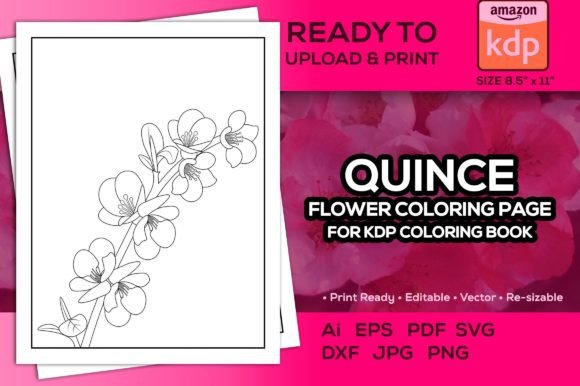 Quince Flower Coloring Page for Kdp Book