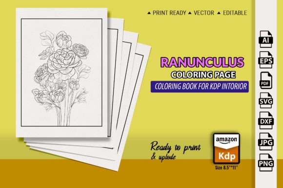 Ranunculus, Buttercup Flower Line Sketch Graphics