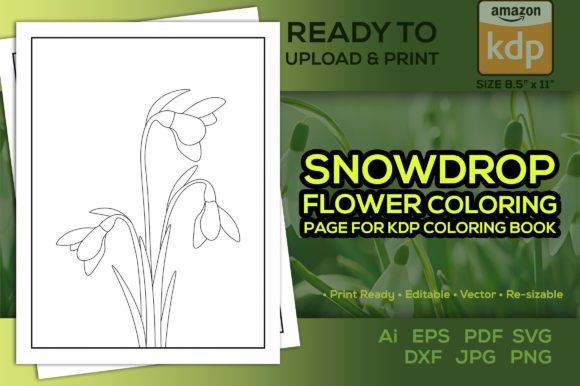 Snowdrop Flower Coloring Page for Kdp Graphics and Coloring Pages Amp