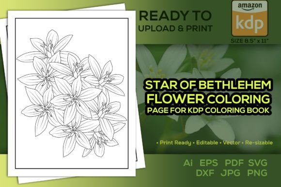 Star of Bethlehem Flower Coloring Page Graphics