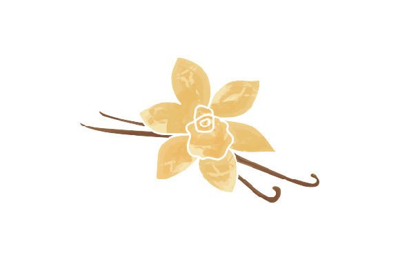 Vanilla Flowers Watercolor